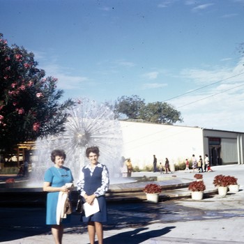 Photo of Alice Persyn